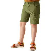 Dare 2b Reprise Iii Kurze Hose