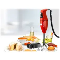 Esge Zauberstab E 120 Select Schweiz Rot 90212, Pürierstab, 0,6 m, 120 W, Rot