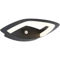 Paulmann LED-Sensor-Außenwandlampe Akena, 3.000 K, anthrazit
