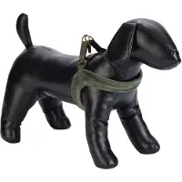 Designed By Lotte Velura - Hundegeschirr - grün - XS - 20 mm x 46 cm