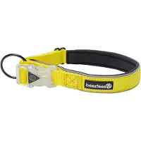 Beeztees Safety Gear Parinca Halsband - 30-35 x 2 cm