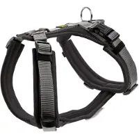 Hunter Geschirr Maldon Oliv/Grau XS-S