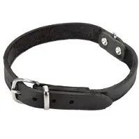 Beeztees Hundehalsband Leder - Schwarz - 70 cm x 25 mm