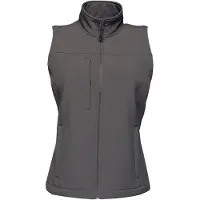 Regatta Damen Softshellweste Flux PC3289 (42 DE) (Dunkelgrau)