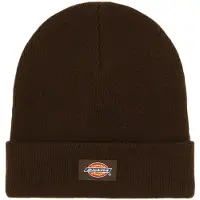 Dickies Gibsland Mütze