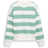 Tom Tailor Sweatshirt DENIM, Damen, Gr. XL, bleached grün weiß stripe, Sweatware, Obermaterial: 100% Baumwolle, weit hüftbedeckend, Rundhals, Bündchen, Sweatshirts Sweatshirt, aus weicher Baumwolle