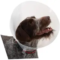Kruuse Transparent Classic Collar - Größe 3