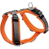 Hunter Geschirr Maldon Up, Hund, Halftergeschirr, M-L, Grau, Orange, Netz, Polyester, 3,4 cm