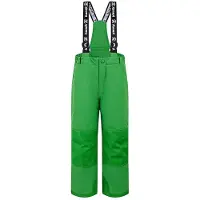 Kamik - Kid's Regan - Skihose Gr 110 grün