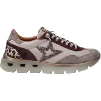 Cetti SRA Damenschuhe Schnürschuhe Sportive sportlicher Schnürer Beige Freizeit