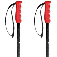 Nordica Freeride Pro Stöcke