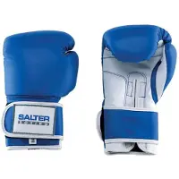 Salter 10oz Kampfhandschuhe