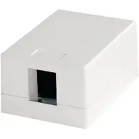 Telegärtner TG Modul-Aufnahme 1-fach Ap H02000A0064 compact 46x64 alpinweiß, für 1 AMJ/UMJ-