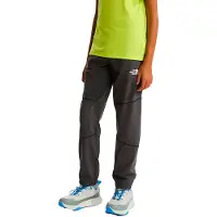 The North Face Mountain Athletics Hosen