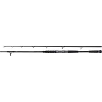 Shimano Beastmaster AX Catfish 220cm 120g 2pc Welsrute