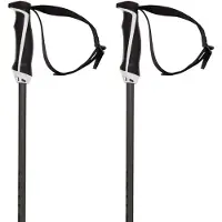 Völkl Herren Alpin-Skistock PHANTASTICK 16MM WHITE POLES