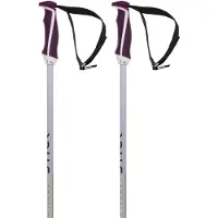 Völkl Phantastick W Poles silver 110