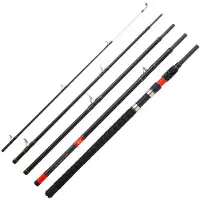 Daiwa Megaforce Big Fish Welsrute Silber 2.90 m / 100-300 g Silber 2.90 m