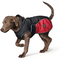 Hunter Hundemantel Wintermantel Uppsala Cozy anthrazit/rot 45