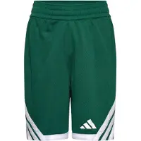Adidas Kinder Short Everyday Pro Bball Shorts Y KC6976 152 - Team Dark Green - 152