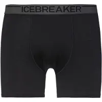 Icebreaker M Anatomica Boxers black (IB001) XL