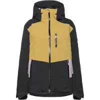 Roxy Skijacke Stormdash JK ERJTJ03520 Beige Tailored Fit