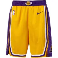Nike Shorts AJ5617-728 für Herren