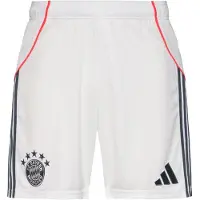 Adidas Herren Teamhose FC Bayern München 25/26 Auswärts