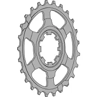 Miche Campagnolo 11s Last Position Ritzel