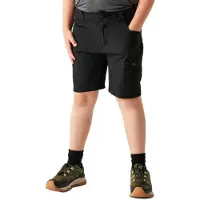 Dare 2b Reprise Iii Kurze Hose