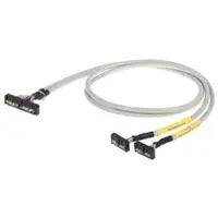 Wago 706-4769/101-100 Systemleitung,für Rockwell Compact Logix,2 x 16 Digitaleingänge 7064769101100