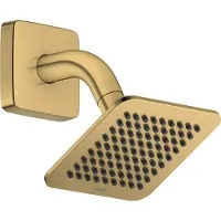 Axor 28810250 Kopfbrause 120/120 1jet