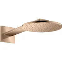 Axor 35296300 Kopfbrause 250 2jet PRG