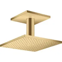 Axor 35308250 Kopfbrause 250/250 1jet