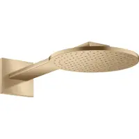 Axor 35296140 Kopfbrause 250 2jet BBR
