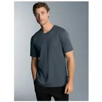 Trigema T-Shirt "T-Shirt aus 100% Baumwolle", Herren, Gr. S, grau (anthrazit), Single Jersey, 100% Baumwolle, Basic, lang, Rundhals, Shirts T-Shirt