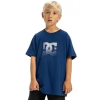 Dc-shoes T-Shirt "DC Star Reflective", Jungen, Gr. 10(140-148cm), blau (estate blau), Obermaterial: 75% Walkfrottier, 25% Walkfrottier;, Shirts T-Shirt