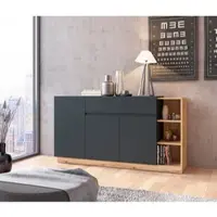 Otto Home Kommode "Bristol", grau (kosmos anthrazit, coast evoke eichefarben), B:162,9cm H:86,3cm T:40cm, Holzwerkstoff, Sideboards, Kommode, Breite ca. 163 cm