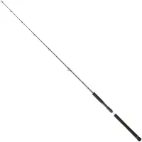 Daiwa Legalis Vertical Jiggingrute Silber 1.73 m / 100-300 g Silber 1.73 m