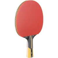 Dunlop Tischtennis-Schläger REVOLUTION 5000