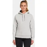 Didriksons VEN WNS Hoodie aluminum melange (098) 40