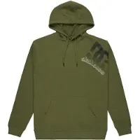 Dc-shoes Hoodie "Solid Lefty", Herren, Gr. S, grün (bronze grün), Obermaterial: 55% Baumwolle, 25% Baumwolle, 20% Polyester., Sweatshirts Hoodie
