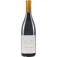Weingut Wieninger Pinot Noir Select 2022 Wieninger 0,75l