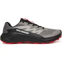 Salomon Laufschuhe Alphaglide L48000800 Grau 44