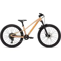 Specialized Kinderfahrrad Riprock Comp 24 Int Gloss Photon Tint Over Flake Silve...