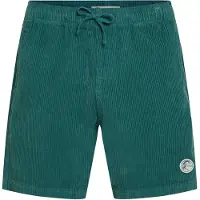 O'Neill O'riginals Cord Shorts botanical heat (15097) S