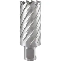 RUKO Kernbohrer Durchmesser 60mm HSS Länge 50mm Weldon - 108560