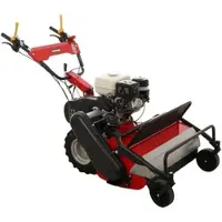 Ginko - MGM Ginko TT790 - Profi-Schlegelmulcher - Honda-Motor GX270