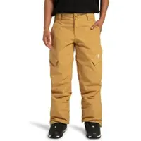 Dc-shoes Snowboardhose Nonchalant ADJTP03023 Gelb Regular Fit