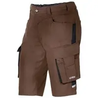 Uvex 3854